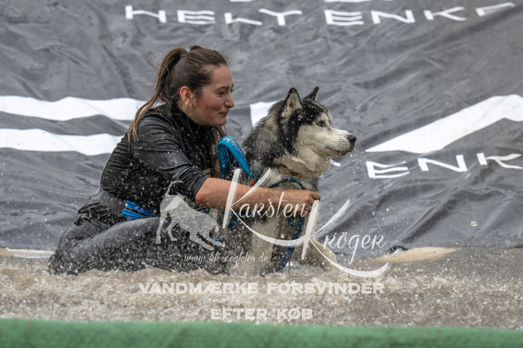 1558_ZZ91757 | kk-dogfotos