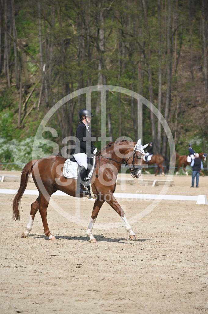 DSC_1578 | sattelsport - Realisiert mit Pictrs.com