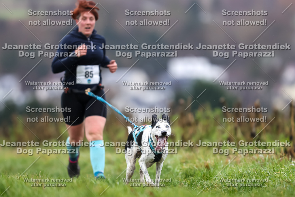 Dog Paparazzi - Herkules Race  2025-78 | Dog Paparazzi Jeanette Grottendiek Fotografie & Videografie - Realisiert mit Pictrs.com