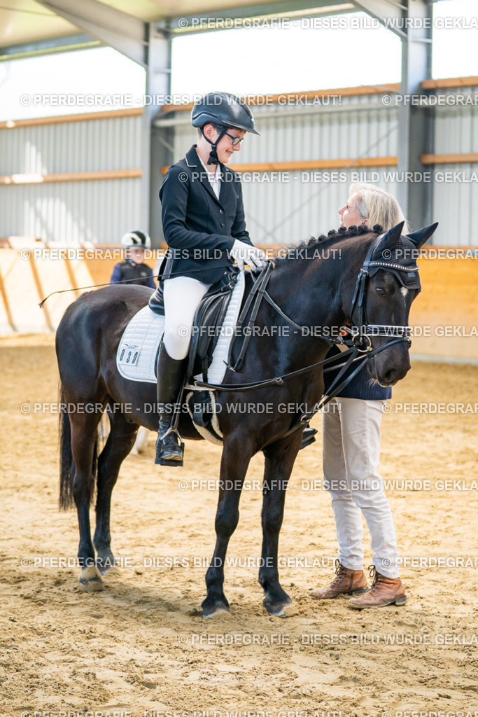 DSC01455 | Pferdegrafie