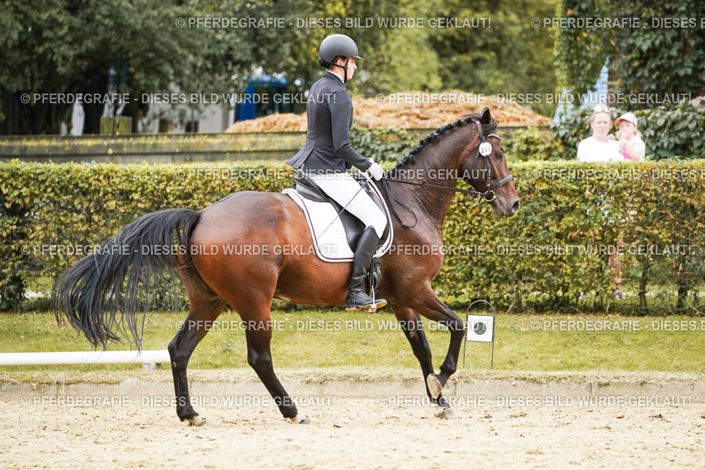 DSC00197 | Pferdegrafie