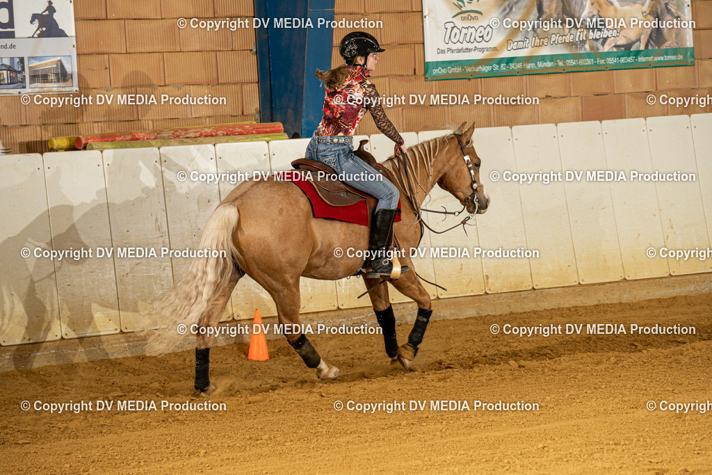 MIT00263 | dv-media-shop - Realisiert mit Pictrs.com