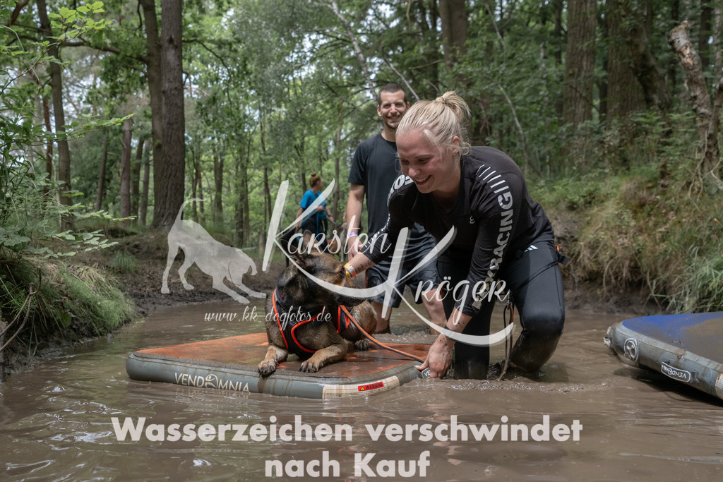 1331_ZZ94329 | kk-dogfotos