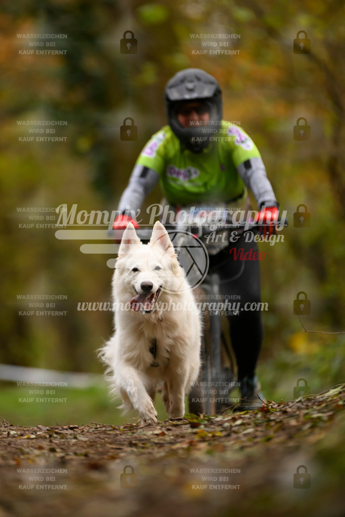 MompixPhotography_Bischwiller24_SA_VTT-84 | PayLife