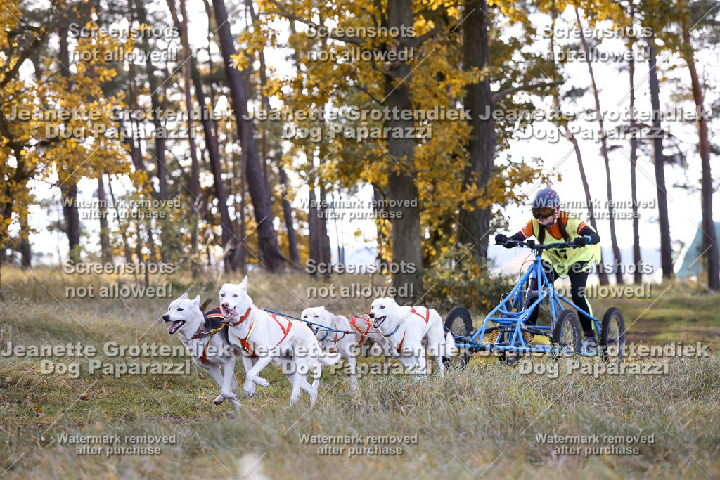 Dog Paparazzi - Elsholz 25 -91 | Dog Paparazzi Jeanette Grottendiek Fotografie & Videografie - Realisiert mit Pictrs.com