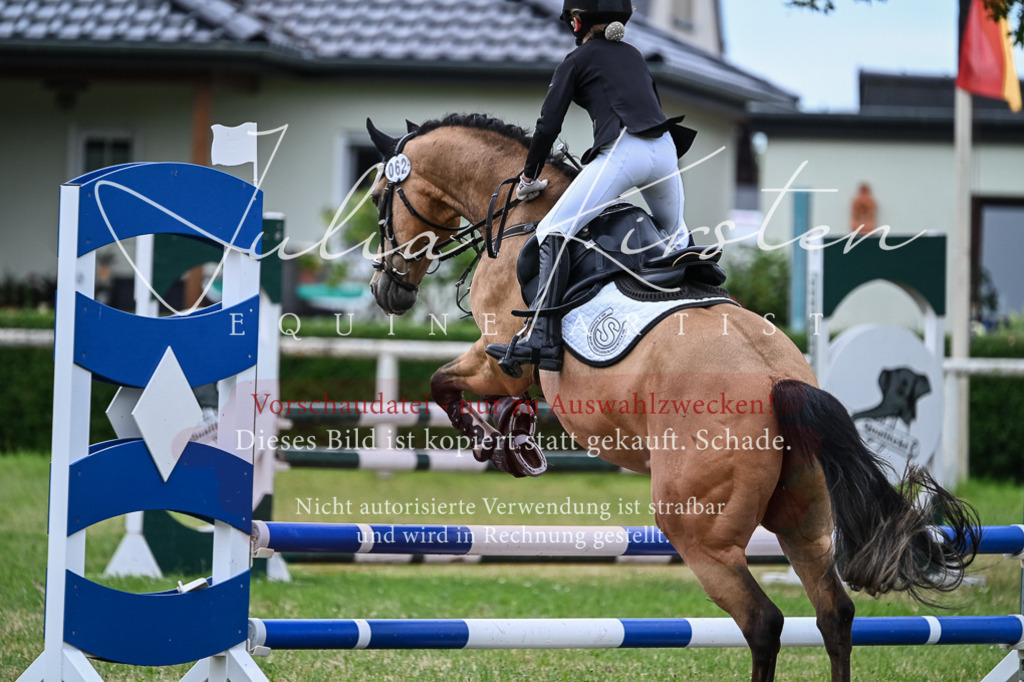 DSC_8583 | Pferde- und Turnierfotografie in Westsachsen. Pferdeportraits, Auftragszeichnungen und intuitive Kunst.