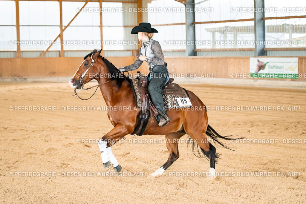 DSC02849 | Pferdegrafie