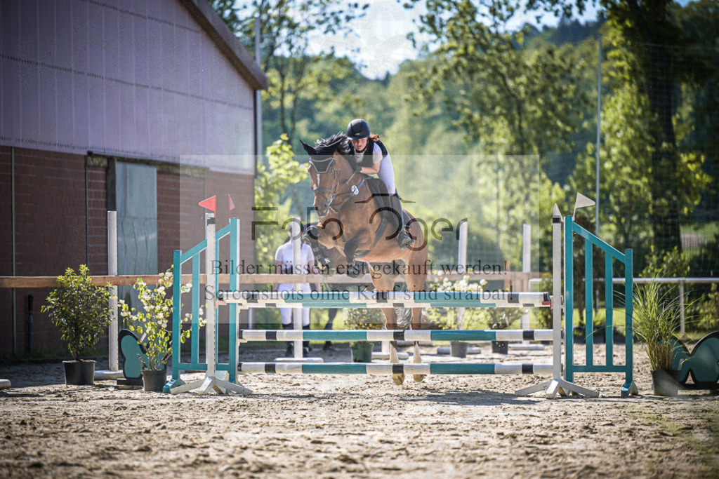 DOS_2547 | Entdecke hochwertige Reitturnierfotos von Foto Oger. Professionell, emotional und authentisch – jetzt Lieblingsmomente im Shop bestellen.Deutschlandweite Turnierfotografie. - Realisiert mit Pictrs.com