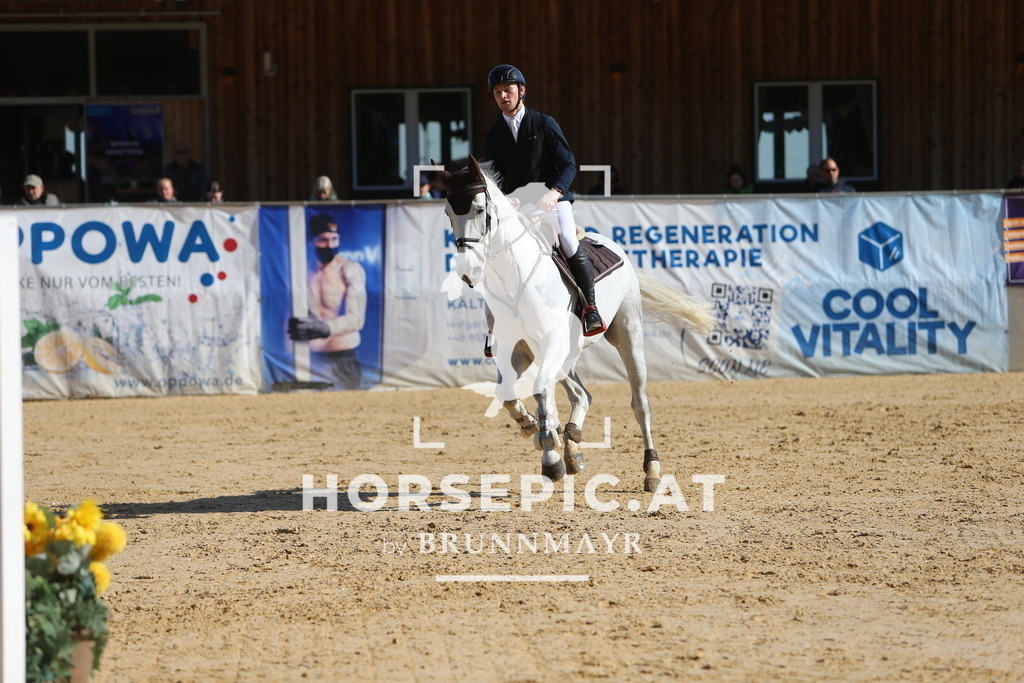 DL2Q4170 | Willkommen bei Brunnmayr - Design & Fotografie – Ihrem Spezialisten für Reitturniere und Pferdeveranstaltungen in Oberösterreich, Salzburg und Bayern! Seit über 17 Jahren sind wir leidenschaftlich dabei.