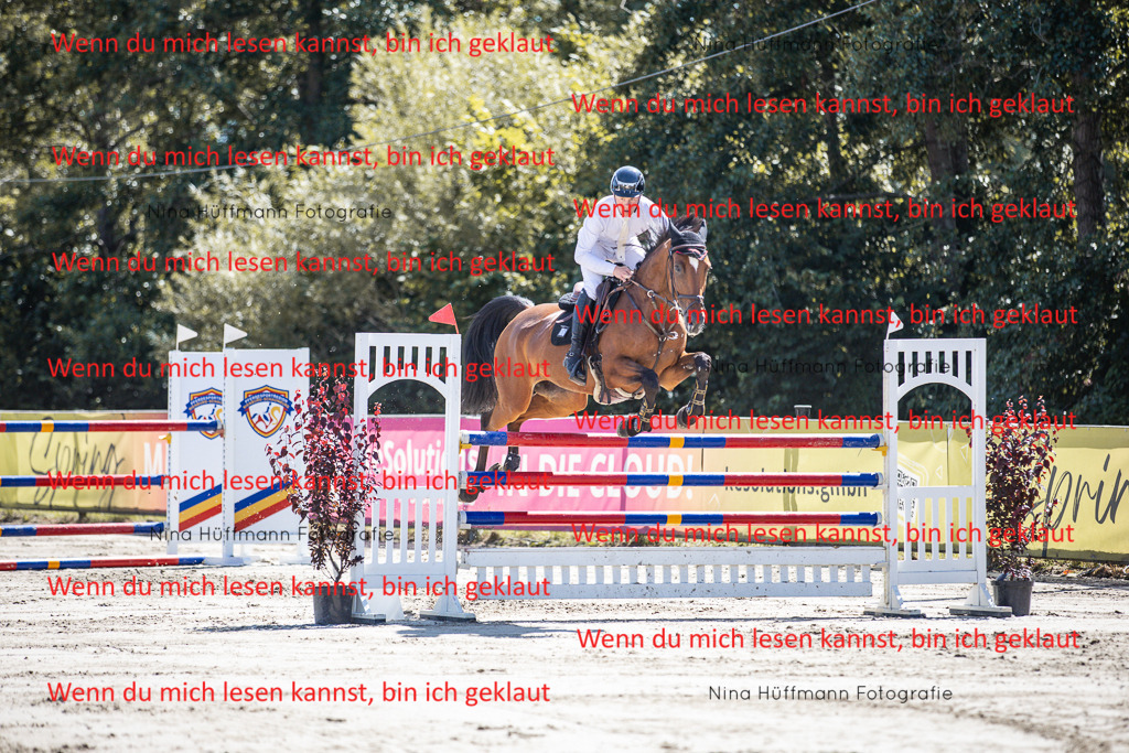 BK1A6652 | Turnierbilder Turnierfotos Nina Hüffmann Turnierfotografie Pferdefotografie Tierzeichnung Haustierzeichnung Pferdezeichnung Hundezeichnung Videograf  - Realisiert mit Pictrs.com