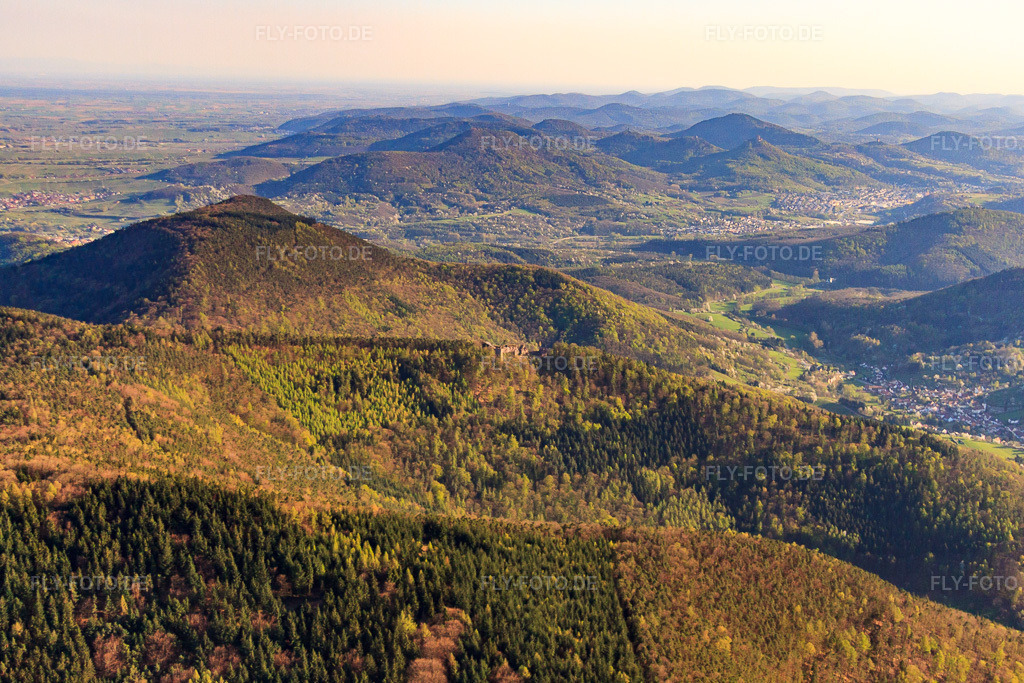 Luftbild: Burgruine Neuscharfeneck vn N in Flemlingen im Bundesland Rheinland-Pfalz in Deutschland. Foto: IMG_56657.jpg vom 25.04.2013 durch Werner Riehm/FLY-FOTO.de