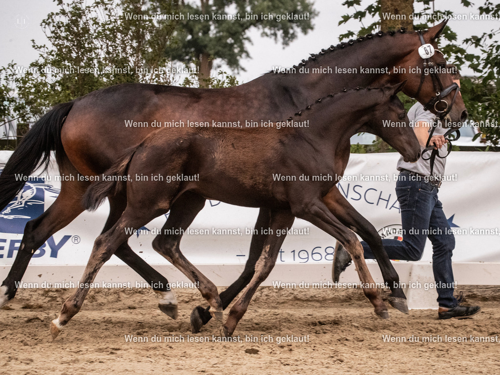 A10I6959 | photographylinaismer - Realisiert mit Pictrs.com