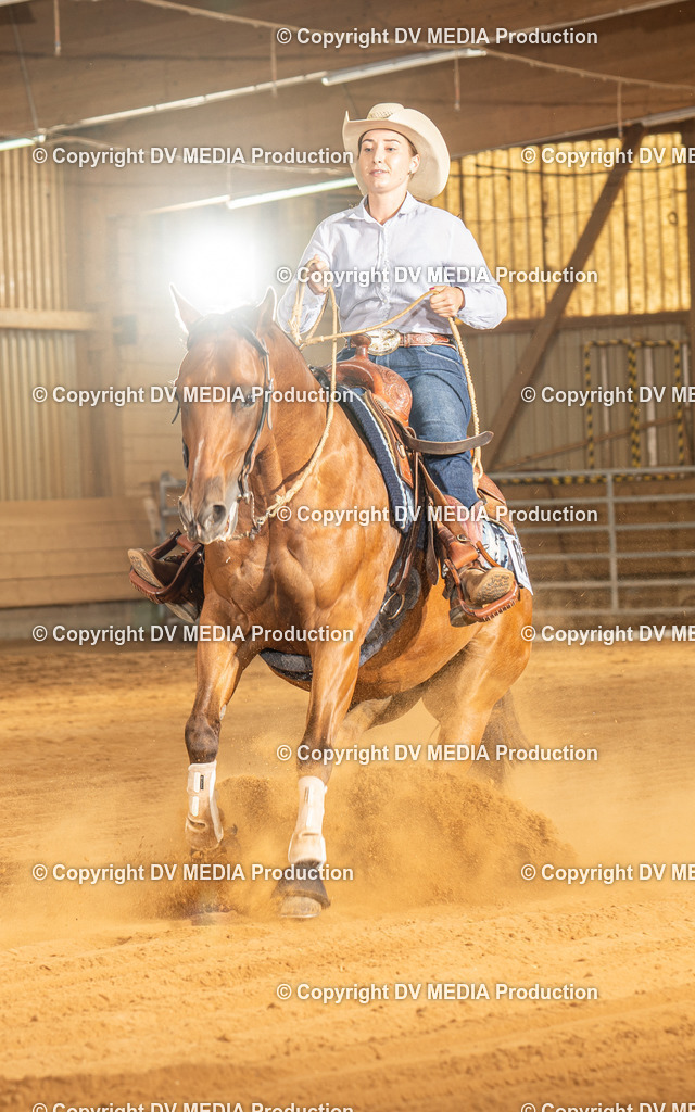 NID02150 | dv-media-shop - Realisiert mit Pictrs.com