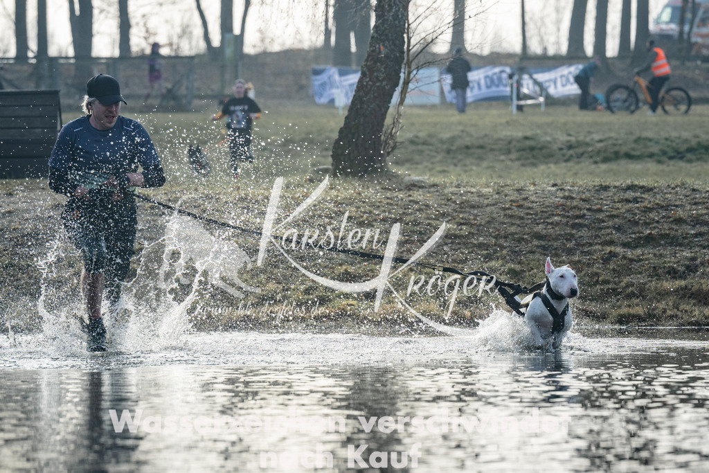 0850_ZZ98660 | kk-dogfotos