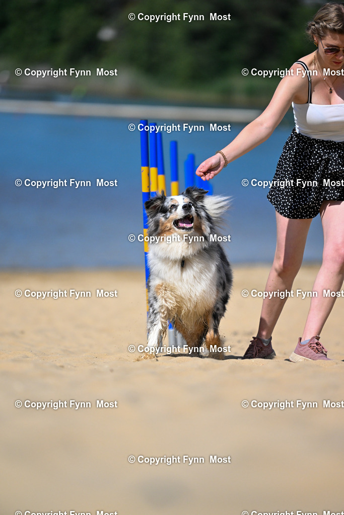 DSC_9114 | Hallo und herzlich Willkommen auf meiner Shop-Seite Fynn Most.

Ich wünsche Dir viel Spaß beim stöbern durch die Bilder, wenn Du Fragen hast oder Bilder vermisst, kannst du mir gerne eine Nachricht schreiben. - Realisiert mit Pictrs.com