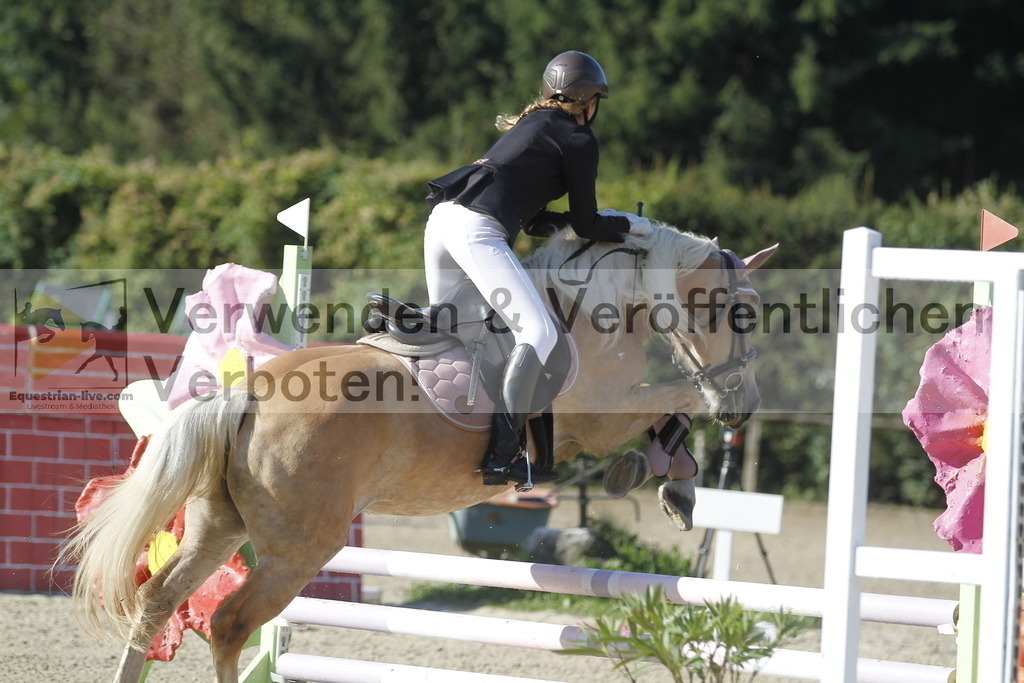 _MG_3950 | equestrian-live-com