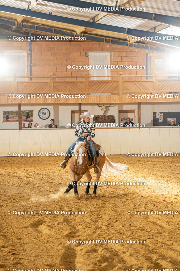 MIT01064 | dv-media-shop - Realisiert mit Pictrs.com