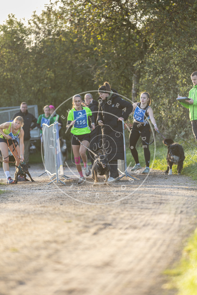 Pfotenfotografie.de_DV3A2435 | Hundefotografie, Tierfotograf, Pfotenfotografie, Fotoshooting Hund, Hunde Portrait, Hundesport, Hundeportraits, Heideshooting, Hunde, Sportfotograf, Hundefotograf, Turnierhundsport, THS, canicross - Realisiert mit Pictrs.com