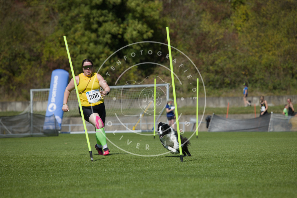 0L8A5831 | Hundefotografie, Tierfotograf, Pfotenfotografie, Fotoshooting Hund, Hunde Portrait, Hundesport, Hundeportraits, Heideshooting, Hunde, Sportfotograf, Hundefotograf, Turnierhundsport, THS,  - Realisiert mit Pictrs.com