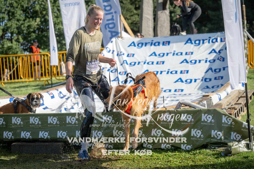 0950_ZZ97205 | kk-dogfotos