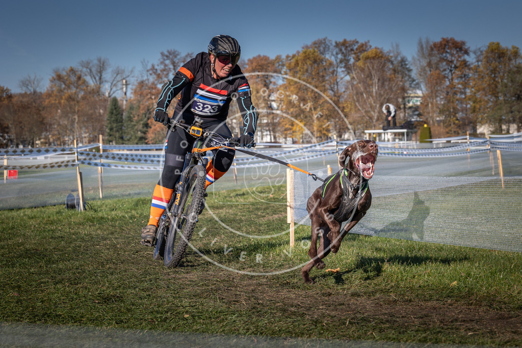 CaniXpix_0L8A5715 | Hundefotografie, Tierfotograf, Pfotenfotografie, Fotoshooting Hund, Hunde Portrait, Hundesport, Hundeportraits, Heideshooting, Hunde, Sportfotograf, Hundefotograf, Turnierhundsport, THS,  - Realisiert mit Pictrs.com
