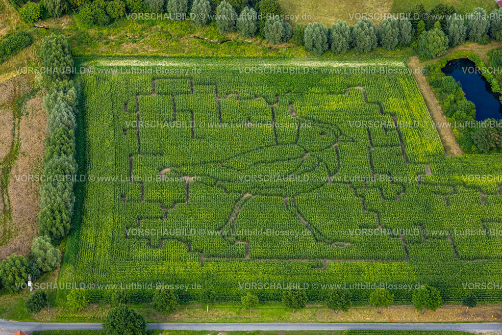 Hamm250706033West | Luftbild, Maisfeld Irrgarten Labyrinth mit Vogelmotiv Feldvogel Kiebitz am Hof Schulze Blasum, Stockum, Werne, Ruhrgebiet, Nordrhein-Westfalen, Deutschland