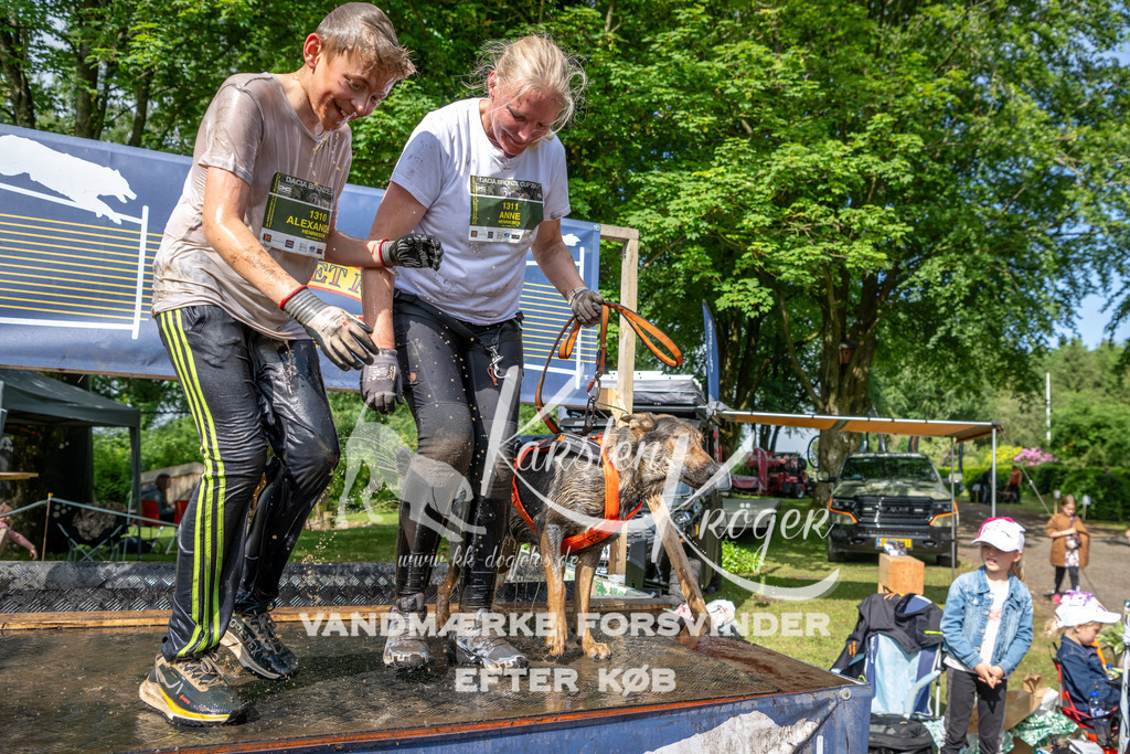 0905_ZZ93473 | kk-dogfotos