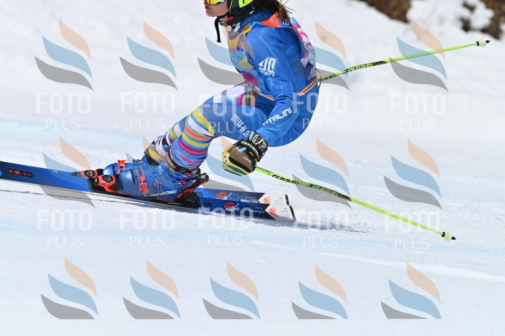 BGV_0384 | holidayphoto