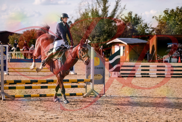 2026_10_03_Siefer-Hof_155538_Z81_74911557 | Professionelle Reitsport-, Turnier- und Eventfotografie von Robert Broda. Galerien mit ausgewählten und bearbeiteten Bildern direkt online ansehen und bestellen.