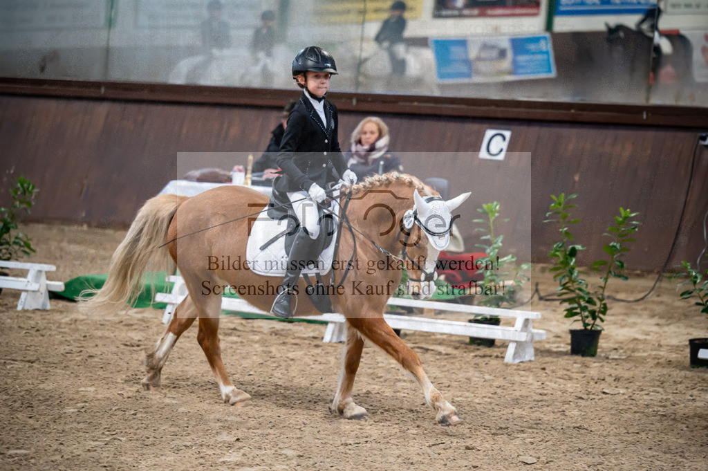 Hallenreittunier Voxtrup 2023 | Entdecke hochwertige Reitturnierfotos von Foto Oger. Professionell, emotional und authentisch – jetzt Lieblingsmomente im Shop bestellen.Deutschlandweite Turnierfotografie. - Realisiert mit Pictrs.com
