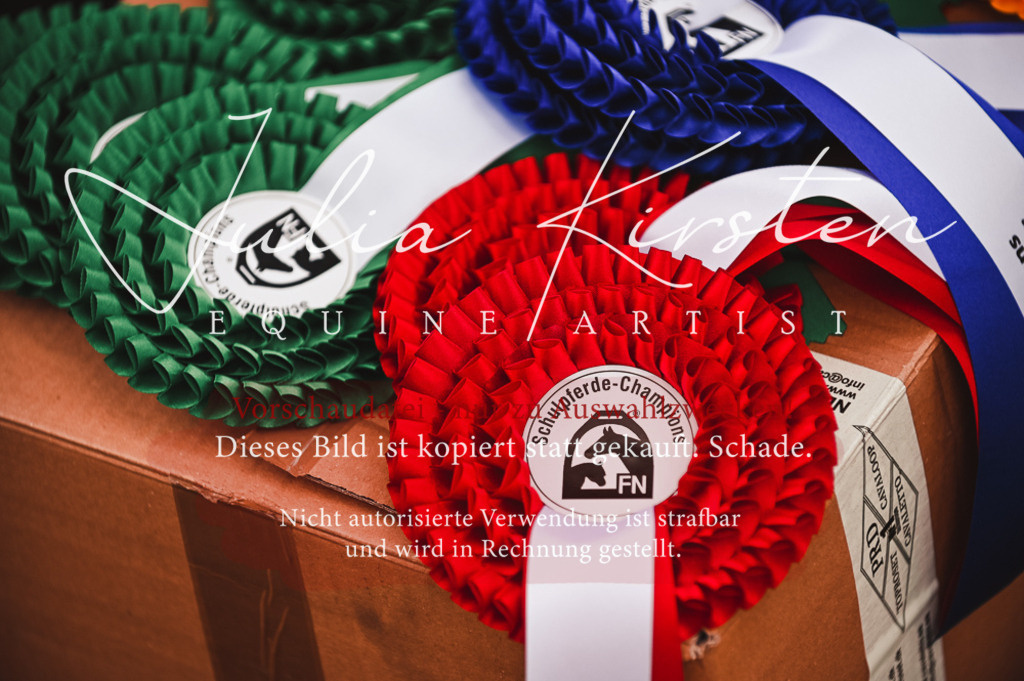 DSC_6135 | Pferde- und Turnierfotografie in Westsachsen. Pferdeportraits, Auftragszeichnungen und intuitive Kunst.