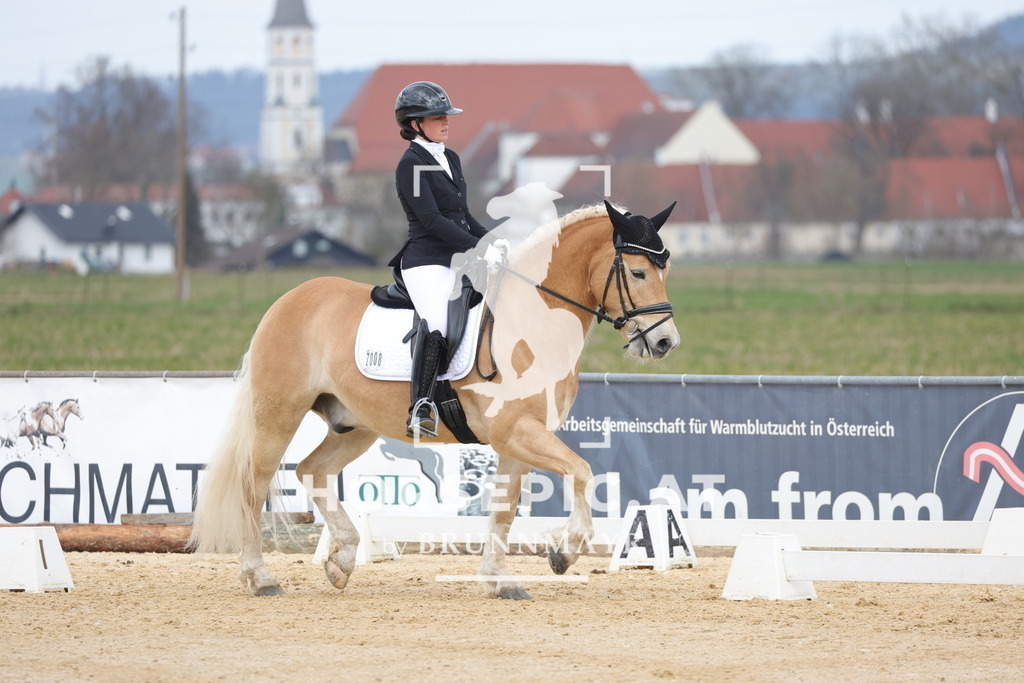 0P6A6933 | Willkommen bei Brunnmayr - Design & Fotografie – Ihrem Spezialisten für Reitturniere und Pferdeveranstaltungen in Oberösterreich, Salzburg und Bayern! Seit über 17 Jahren sind wir leidenschaftlich dabei.