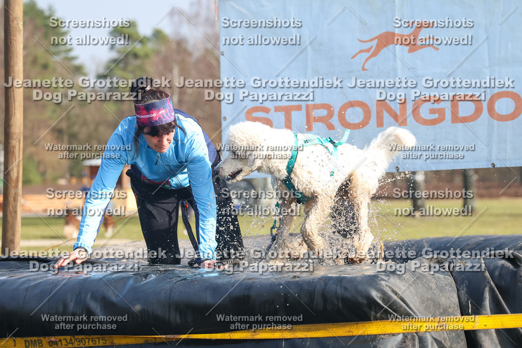 Dog Paparazzi - Strongdog North Mrz26-2153 | Dog Paparazzi Jeanette Grottendiek Fotografie & Videografie - Realisiert mit Pictrs.com