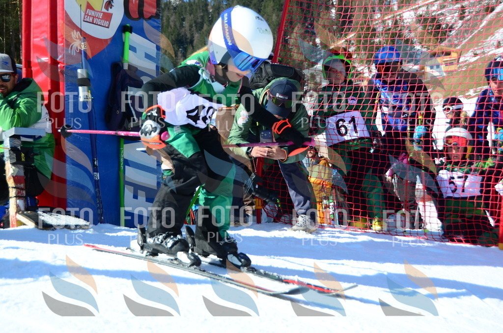 C5043 | holidayphoto