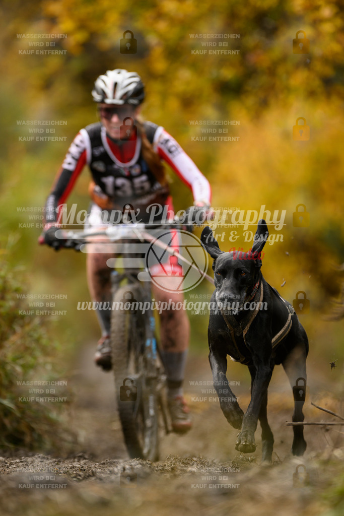 MompixPhotography_ICF_WC_2024_SA_Bike_-142 | PayLife