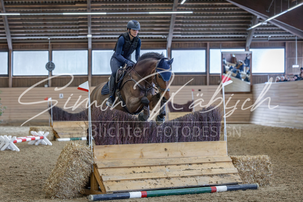 20260222-_3LI2384 | Tierfotografie Pferde, Hunde, Katzen, Haustiere.
Turnierfotografie Reitturniere, Reiten, Springreiten, Dressur in Hanau, dem Main-Kinzig-Kreis und dem Rhein-Main- Gebiet um Frankfurt