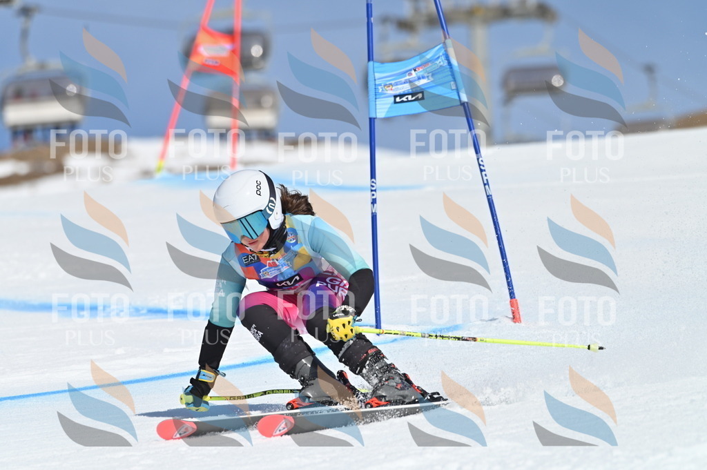 BGV_9165 | holidayphoto