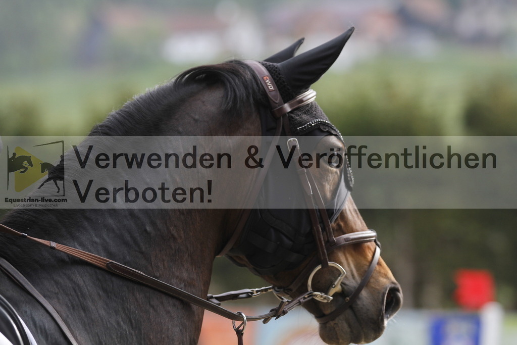 _MG_0392 | equestrian-live-com