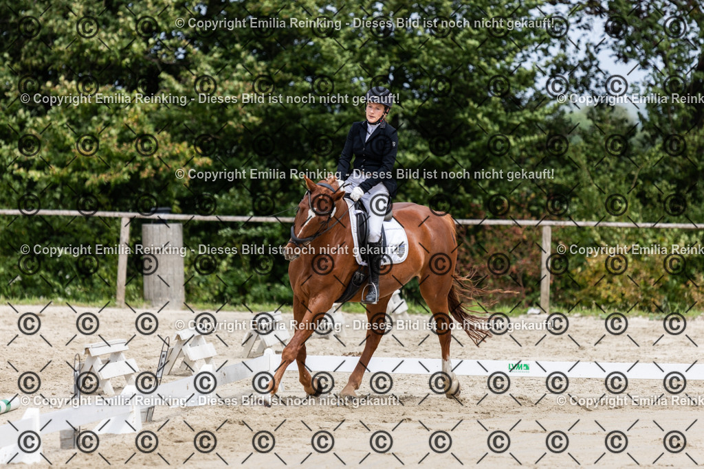 CL5A4403 | Emilia Reinking Fotografie - Realisiert mit Pictrs.com