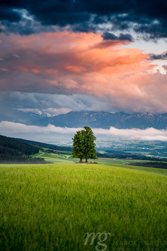Sonnenuntergangsstimmung auf dem Ballenbühl bei Konolfingen | Die ideale Geschenkidee für Naturliebhaber. Naturbilder von Marcel Gross Photography für ihr Zuhause in den verschiedensten Formaten und Materialien. - Realisiert mit Pictrs.com