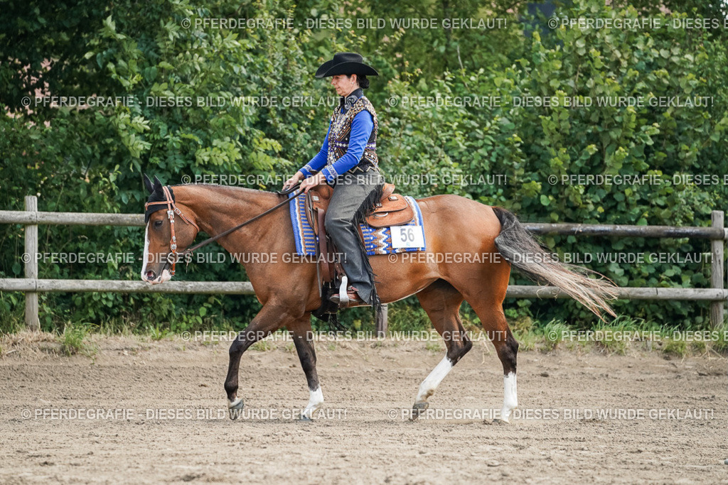 DSC06218 | Pferdegrafie