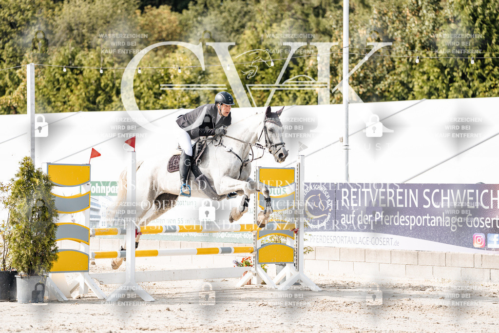 CK905564 | Turnierfotografie Pferdefotografie Trier Rheinland-Pfalz Pferdesport Reitsport Tierfotografie Sportfotografie Pferdevideo Pferdevideografie Equestrianvideography equestrianphotography  - Realisiert mit Pictrs.com