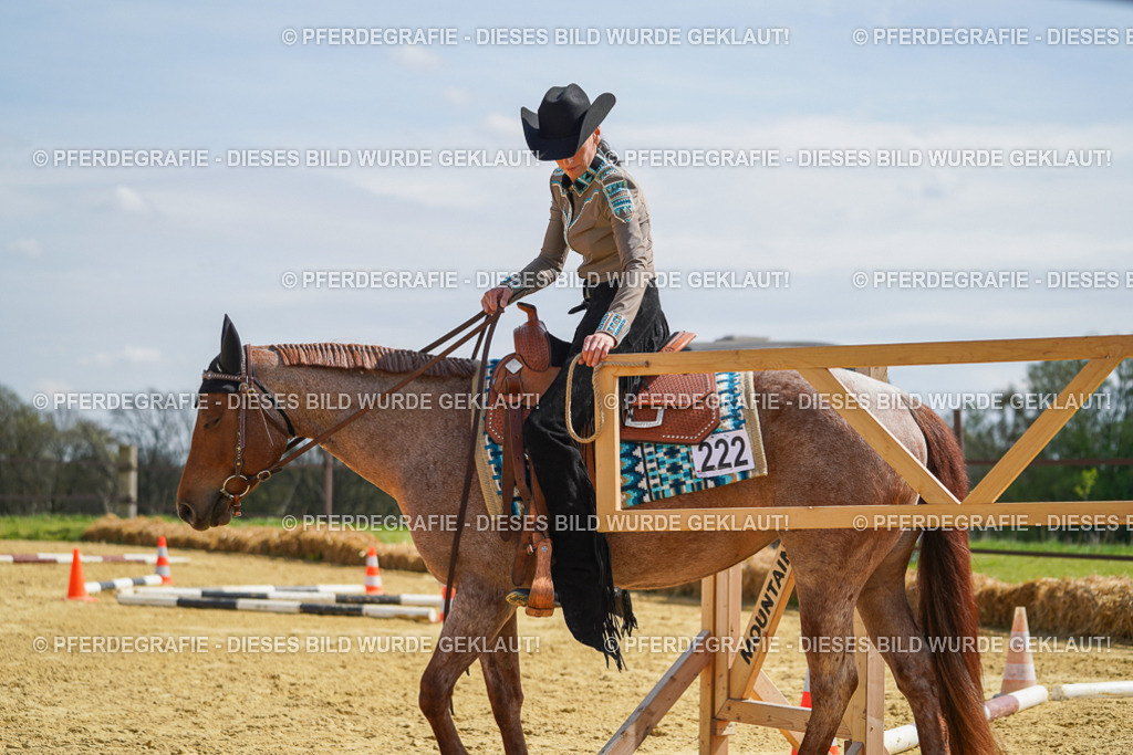 DSC04836 | Pferdegrafie