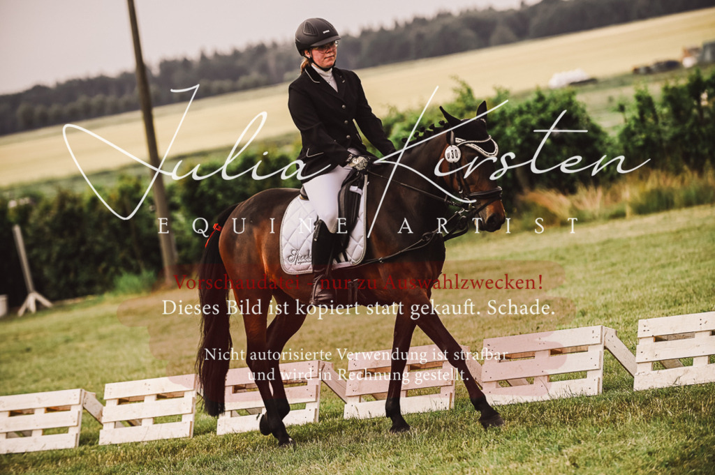 DSC_4884 | Pferde- und Turnierfotografie in Westsachsen. Pferdeportraits, Auftragszeichnungen und intuitive Kunst.