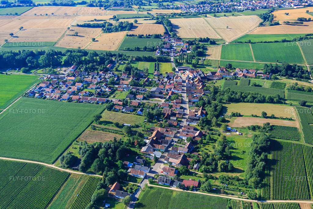 Luftbild: Hauptstr im Ortsteil Kleinsteinfeld in Niederotterbach im Bundesland Rheinland-Pfalz in Deutschland. Foto: IMG_092531.jpg vom 01.08.2016 durch Werner Riehm/FLY-FOTO.de