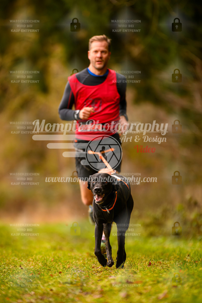 MompixPhotography_2SSTSSBW_2025_SO_Canicross-11 | PayLife