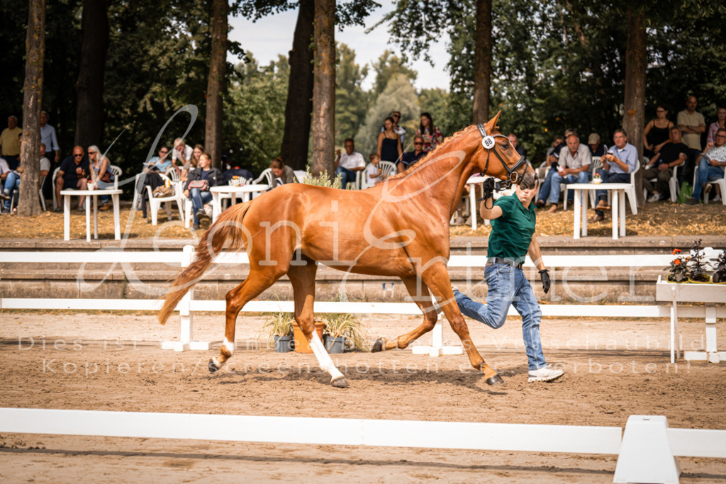 5.Fr00105 | Leoni Ertmer Photography - Realisiert mit Pictrs.com