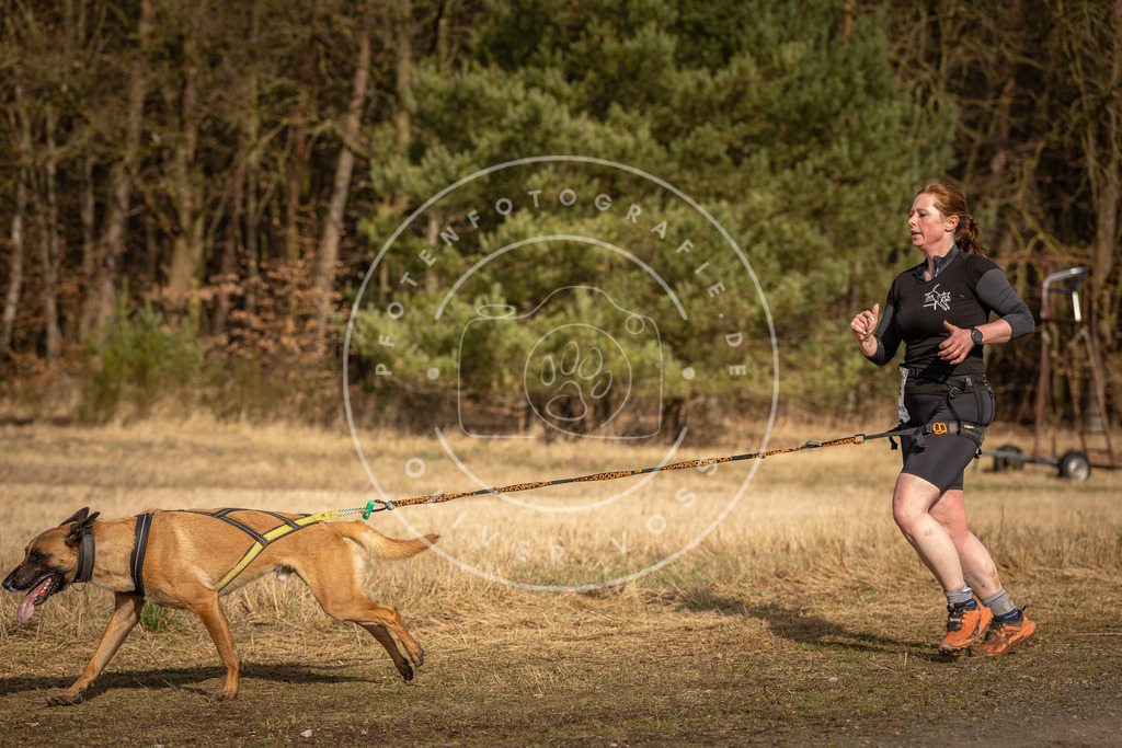 DV3A3866 | Hundefotografie, Tierfotograf, Pfotenfotografie, Fotoshooting Hund, Hunde Portrait, Hundesport, Hundeportraits, Heideshooting, Hunde, Sportfotograf, Hundefotograf, Turnierhundsport, THS,  - Realisiert mit Pictrs.com
