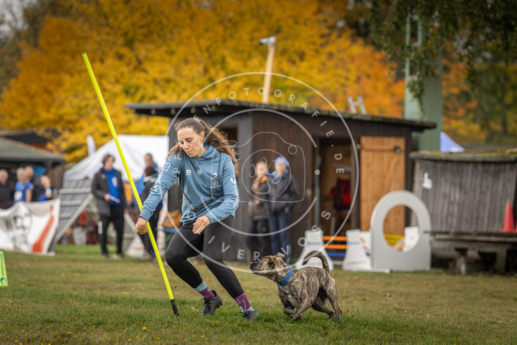 Pfotenfotografie_DV3A2922 | Hundefotografie, Tierfotograf, Pfotenfotografie, Fotoshooting Hund, Hunde Portrait, Hundesport, Hundeportraits, Heideshooting, Hunde, Sportfotograf, Hundefotograf, Turnierhundsport, THS,  - Realisiert mit Pictrs.com