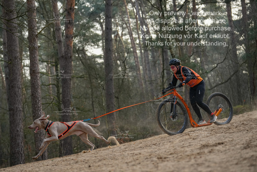 Scooter1-177 | stephaniefillaphotographie - Realisiert mit Pictrs.com